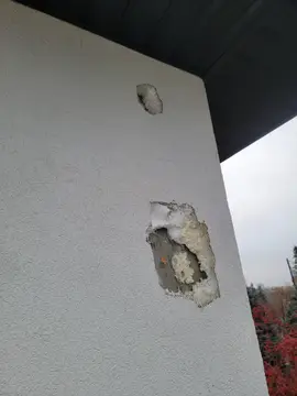 Woodpecker Damage